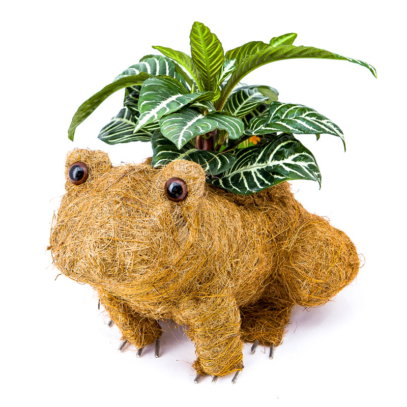 August Grove® Elsaid Animal Topiary Coco Liner Statue Planter Wayfair